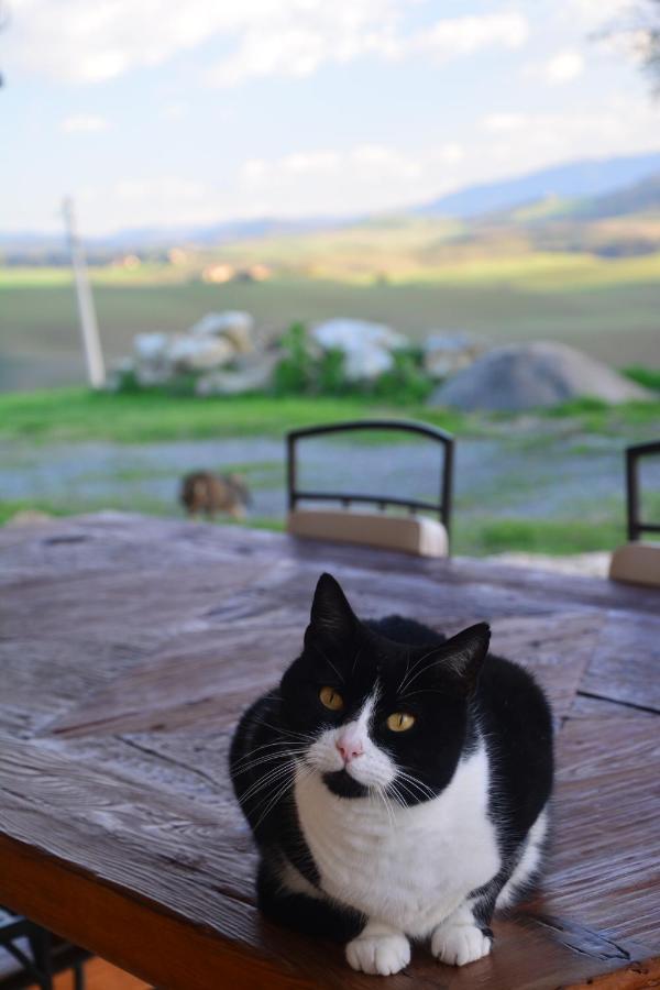 Podere Campiano Volterra Dış mekan fotoğraf