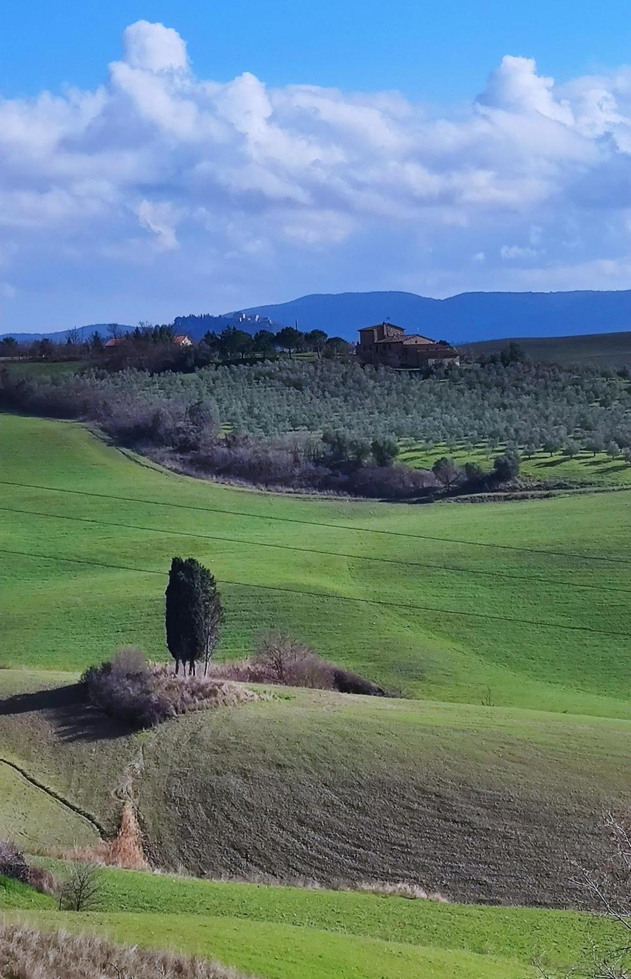 Podere Campiano Volterra Dış mekan fotoğraf